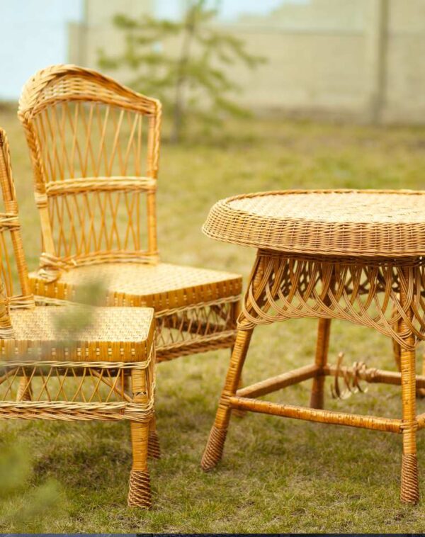 Outdoor Rattan / teak wood Furniture - Image 5
