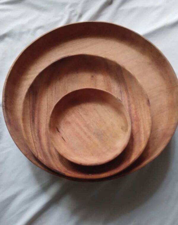 Compostable Food Service Products - Image 7