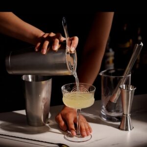 Premium Bar Equipment