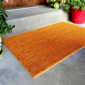 Coir Brush Mat